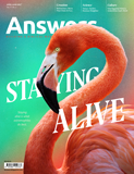Answers Magazine - Vol. 17.2