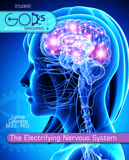 Electrifying Nervous System